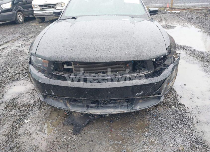 Photo 6 of 2011 Ford Mustang GT PREMIUM (VIN 1ZVBP8CFXB5106767)