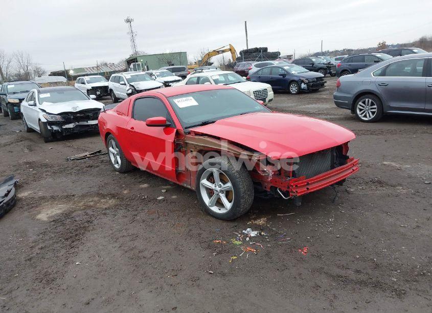 2011 Ford Mustang GT (VIN 1ZVBP8CFXB5163972) main photo