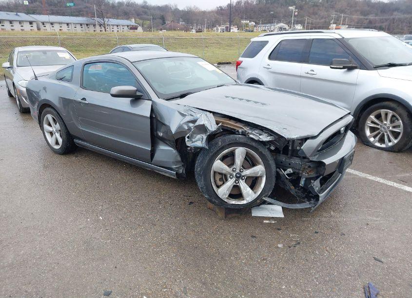 2013 Ford Mustang GT (VIN 1ZVBP8CFXD5224028) main photo