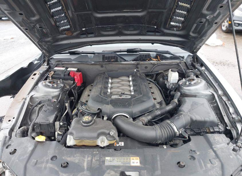 Photo 10 of 2013 Ford Mustang GT (VIN 1ZVBP8CFXD5224028)