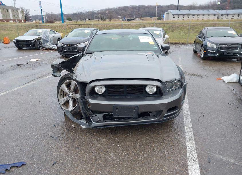 Photo 12 of 2013 Ford Mustang GT (VIN 1ZVBP8CFXD5224028)