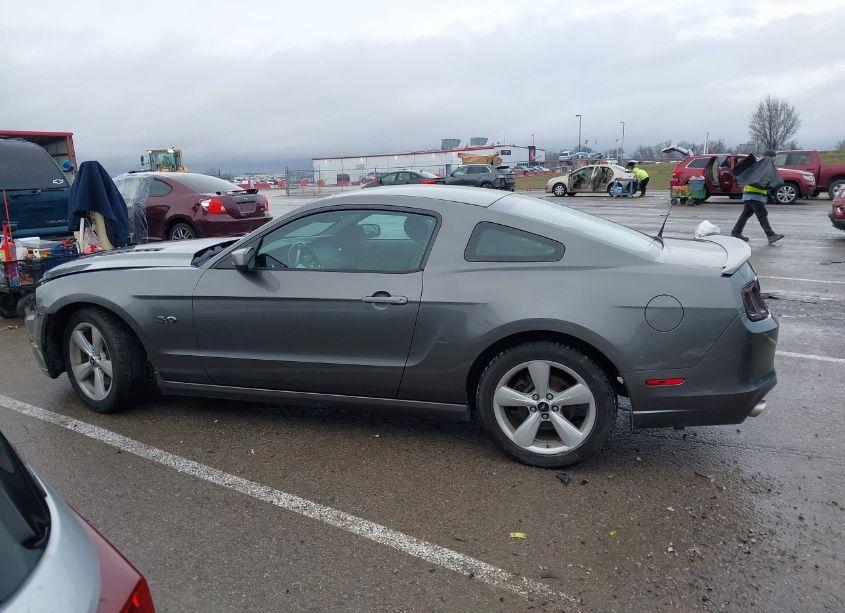 Photo 14 of 2013 Ford Mustang GT (VIN 1ZVBP8CFXD5224028)