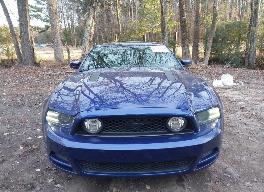 Photo 13 of 2013 Ford Mustang GT (VIN 1ZVBP8CFXD5263086)