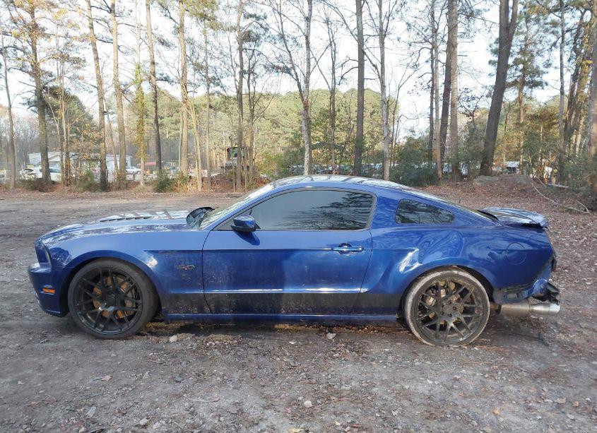 Photo 15 of 2013 Ford Mustang GT (VIN 1ZVBP8CFXD5263086)