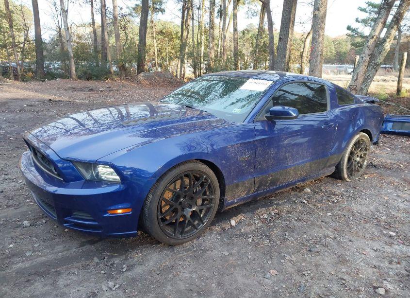 Photo 2 of 2013 Ford Mustang GT (VIN 1ZVBP8CFXD5263086)