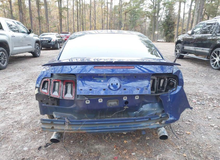 Photo 6 of 2013 Ford Mustang GT (VIN 1ZVBP8CFXD5263086)