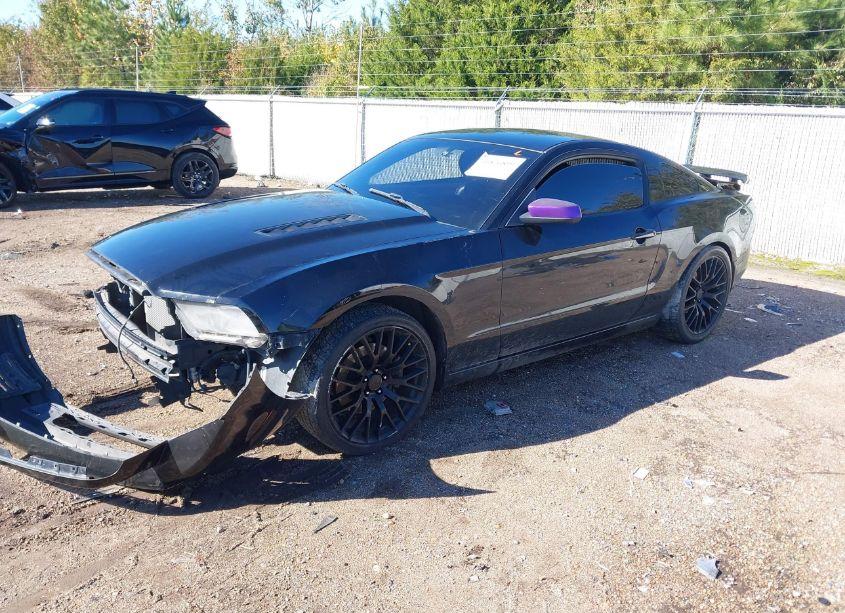 Photo 14 of 2013 Ford Mustang GT PREMIUM (VIN 1ZVBP8CFXD5271317)