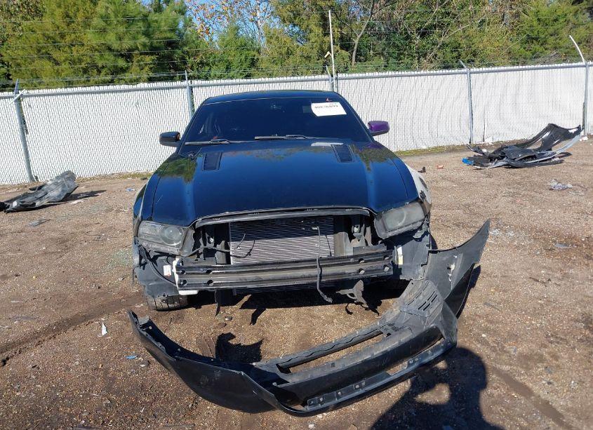 Photo 8 of 2013 Ford Mustang GT PREMIUM (VIN 1ZVBP8CFXD5271317)