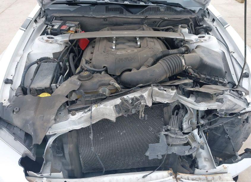 Photo 10 of 2014 Ford Mustang GT (VIN 1ZVBP8CFXE5288006)