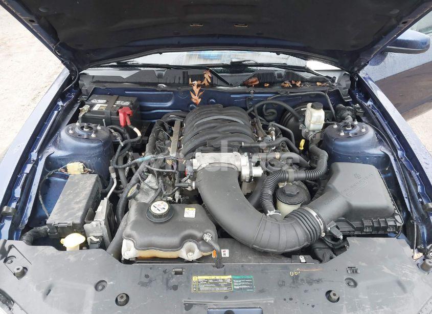 Photo 10 of 2010 Ford Mustang GT/GT PREMIUM (VIN 1ZVBP8CH0A5121729)