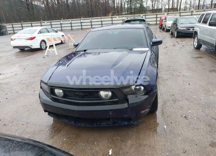 Photo 12 of 2010 Ford Mustang GT/GT PREMIUM (VIN 1ZVBP8CH0A5121729)