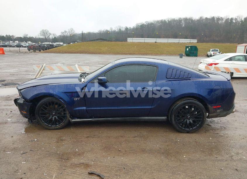 Photo 14 of 2010 Ford Mustang GT/GT PREMIUM (VIN 1ZVBP8CH0A5121729)