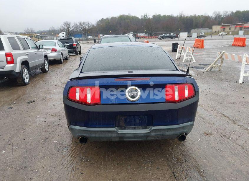 Photo 16 of 2010 Ford Mustang GT/GT PREMIUM (VIN 1ZVBP8CH0A5121729)