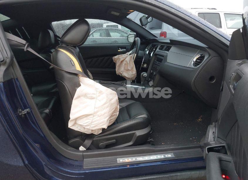 Photo 5 of 2010 Ford Mustang GT/GT PREMIUM (VIN 1ZVBP8CH0A5121729)