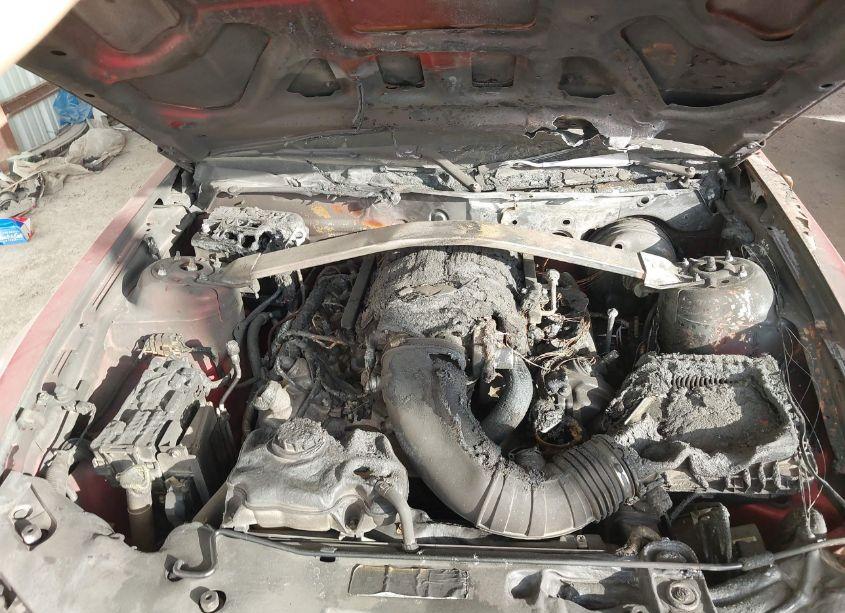 Photo 10 of 2010 Ford Mustang GT/GT PREMIUM (VIN 1ZVBP8CH0A5156674)