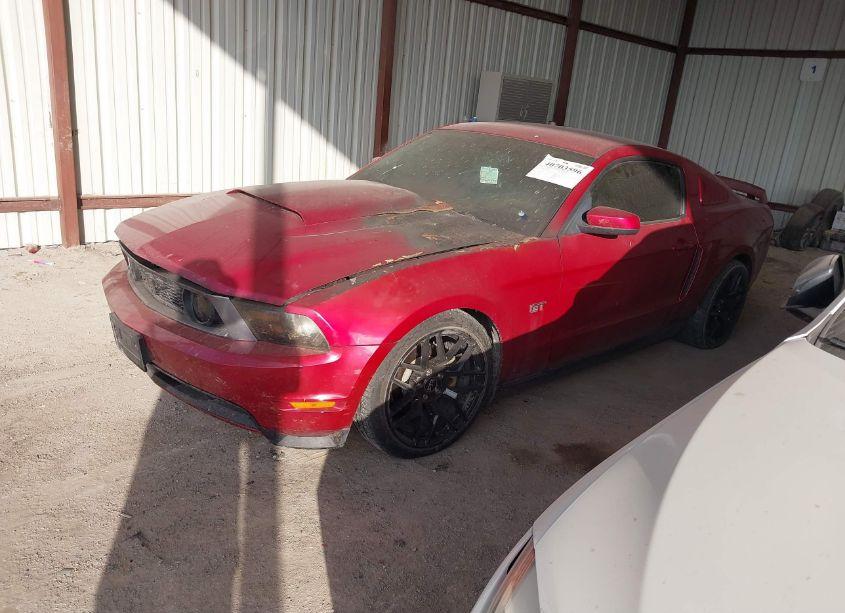 Photo 2 of 2010 Ford Mustang GT/GT PREMIUM (VIN 1ZVBP8CH0A5156674)