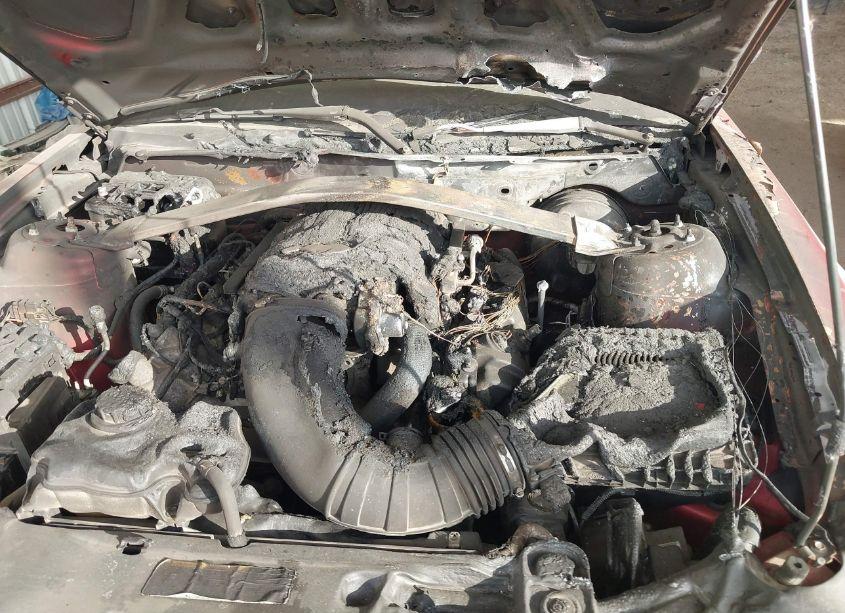 Photo 6 of 2010 Ford Mustang GT/GT PREMIUM (VIN 1ZVBP8CH0A5156674)