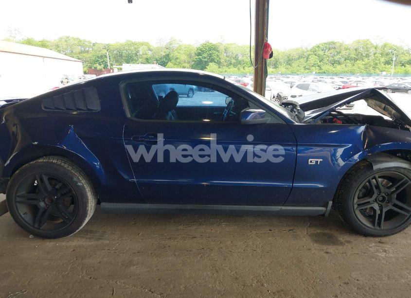 Photo 13 of 2010 Ford Mustang GT/GT PREMIUM (VIN 1ZVBP8CH0A5173121)