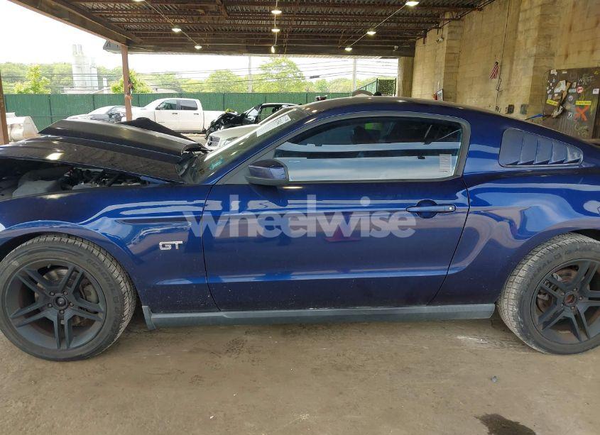 Photo 14 of 2010 Ford Mustang GT/GT PREMIUM (VIN 1ZVBP8CH0A5173121)