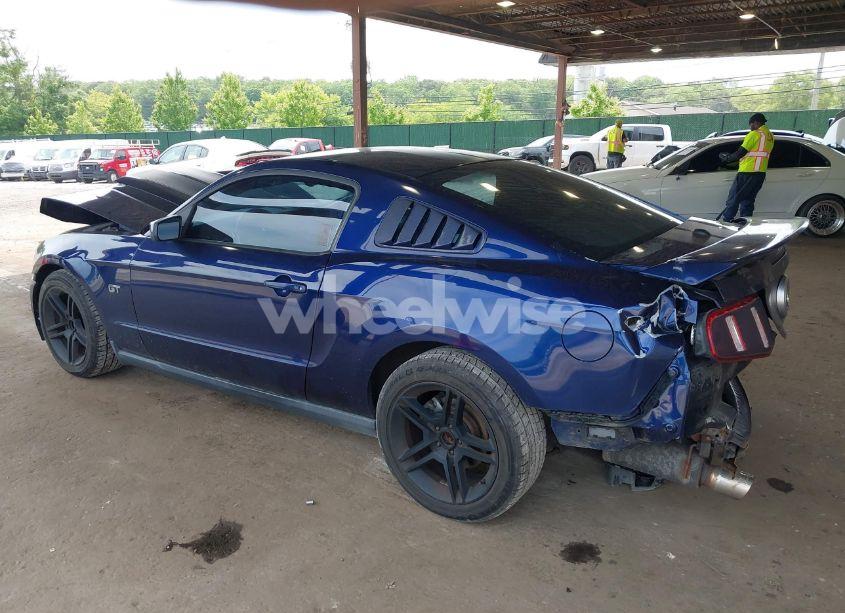 Photo 3 of 2010 Ford Mustang GT/GT PREMIUM (VIN 1ZVBP8CH0A5173121)