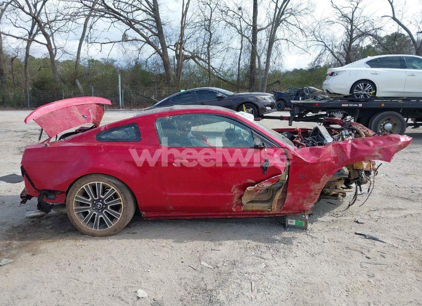 Photo 14 of 2010 Ford Mustang GT/GT PREMIUM (VIN 1ZVBP8CH2A5100509)