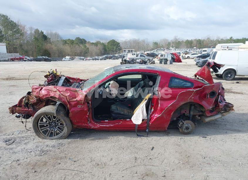 Photo 15 of 2010 Ford Mustang GT/GT PREMIUM (VIN 1ZVBP8CH2A5100509)