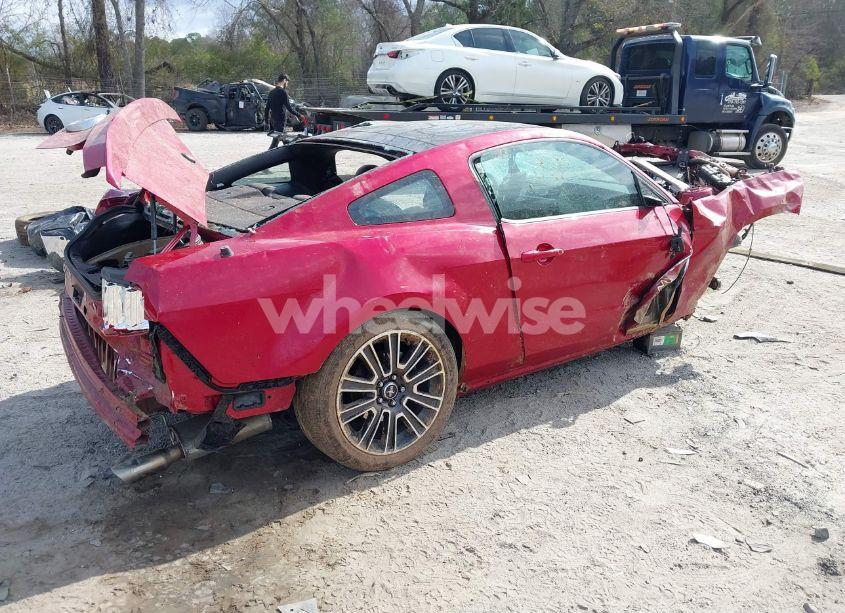 Photo 4 of 2010 Ford Mustang GT/GT PREMIUM (VIN 1ZVBP8CH2A5100509)