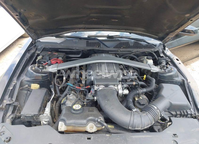 Photo 10 of 2010 Ford Mustang GT/GT PREMIUM (VIN 1ZVBP8CH2A5118802)