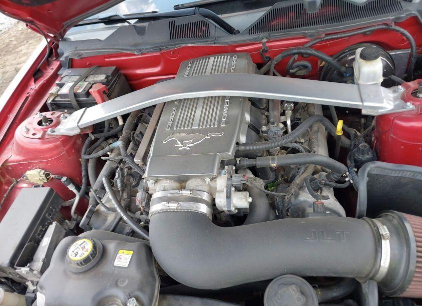 Photo 10 of 2010 Ford Mustang GT/GT PREMIUM (VIN 1ZVBP8CH3A5120820)