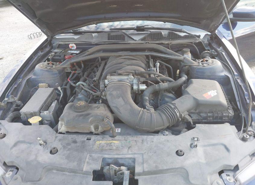 Photo 10 of 2010 Ford Mustang GT/GT PREMIUM (VIN 1ZVBP8CH3A5148990)