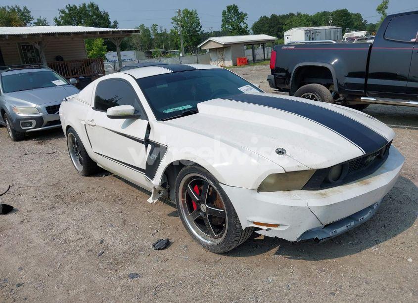 2010 Ford Mustang GT (VIN 1ZVBP8CH6A5132010) main photo