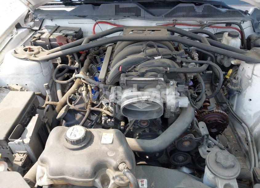 Photo 10 of 2010 Ford Mustang GT (VIN 1ZVBP8CH6A5132010)