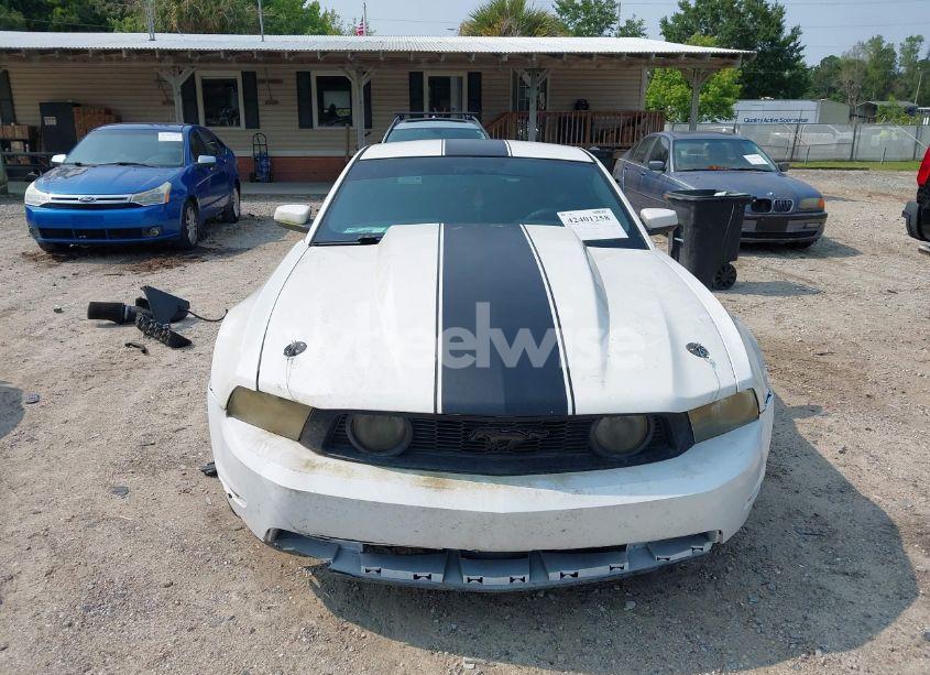 Photo 13 of 2010 Ford Mustang GT (VIN 1ZVBP8CH6A5132010)