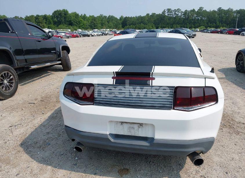 Photo 17 of 2010 Ford Mustang GT (VIN 1ZVBP8CH6A5132010)