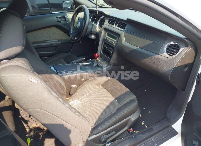 Photo 5 of 2010 Ford Mustang GT (VIN 1ZVBP8CH6A5132010)