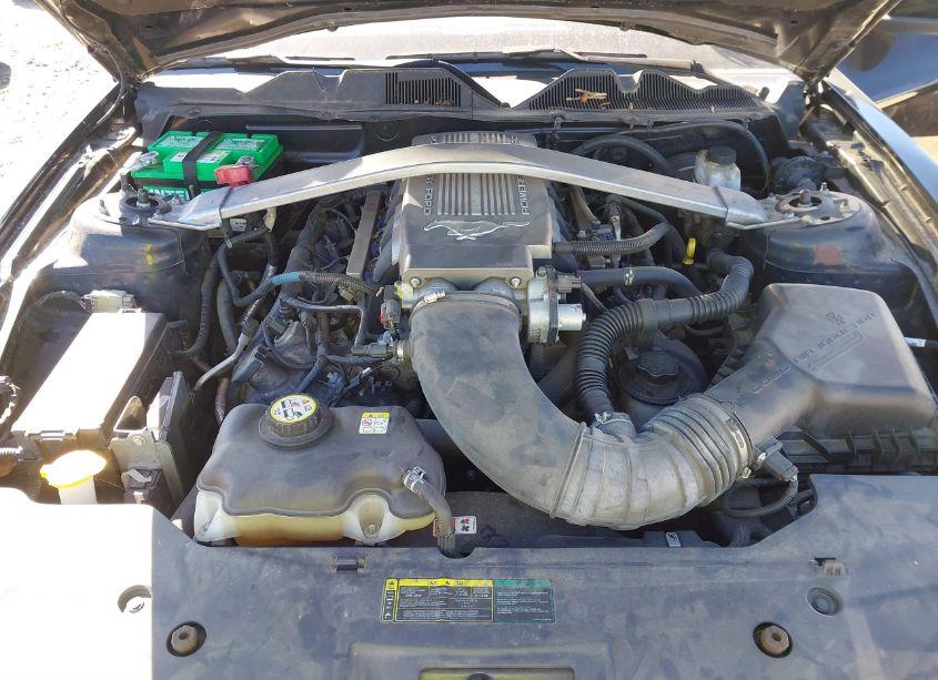 Photo 10 of 2010 Ford Mustang GT PREMIUM (VIN 1ZVBP8CH7A5127348)