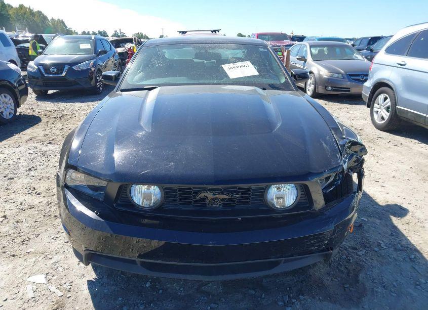 Photo 12 of 2010 Ford Mustang GT PREMIUM (VIN 1ZVBP8CH7A5127348)