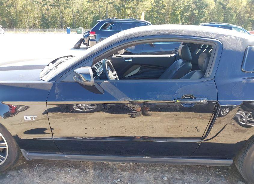 Photo 14 of 2010 Ford Mustang GT PREMIUM (VIN 1ZVBP8CH7A5127348)