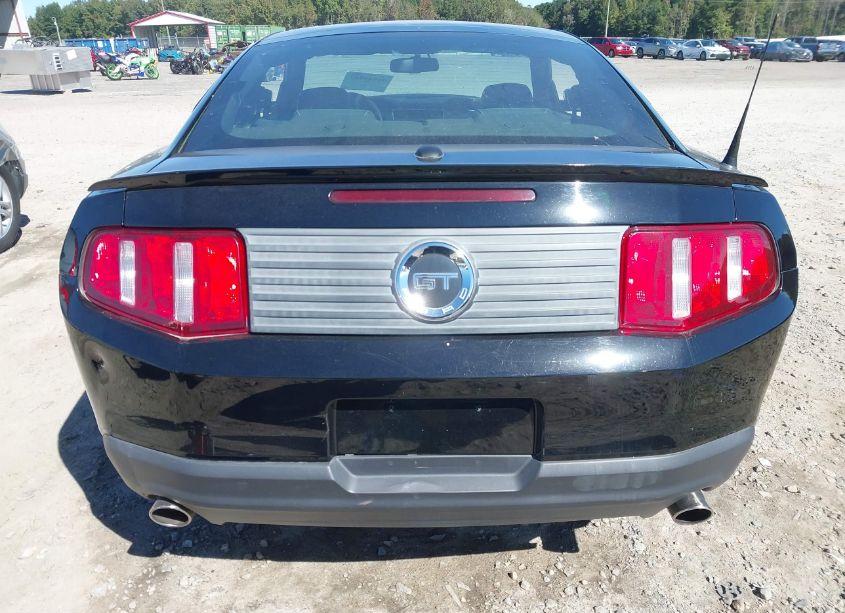 Photo 16 of 2010 Ford Mustang GT PREMIUM (VIN 1ZVBP8CH7A5127348)