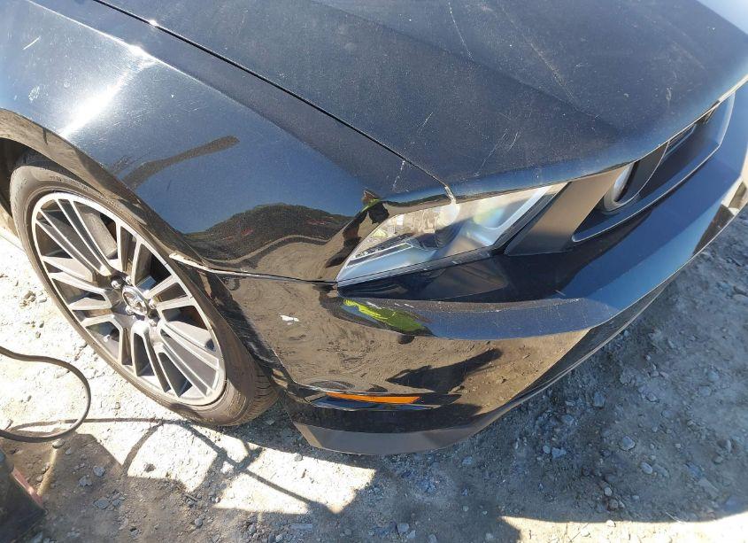 Photo 17 of 2010 Ford Mustang GT PREMIUM (VIN 1ZVBP8CH7A5127348)