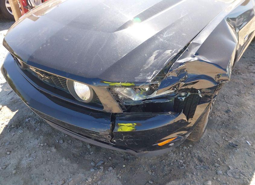 Photo 6 of 2010 Ford Mustang GT PREMIUM (VIN 1ZVBP8CH7A5127348)