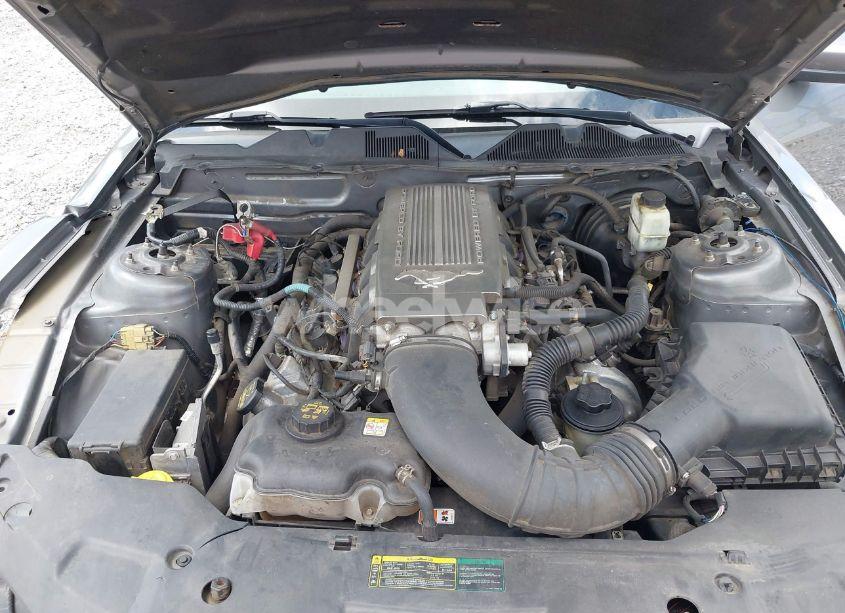 Photo 10 of 2010 Ford Mustang GT/GT PREMIUM (VIN 1ZVBP8CH7A5162438)