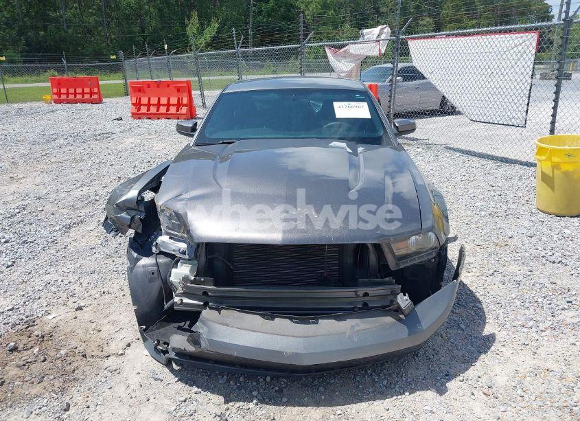 Photo 12 of 2010 Ford Mustang GT/GT PREMIUM (VIN 1ZVBP8CH7A5162438)