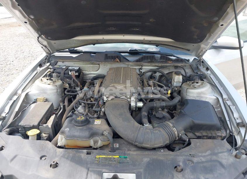 Photo 10 of 2010 Ford Mustang GT/GT PREMIUM (VIN 1ZVBP8CH7A5181037)