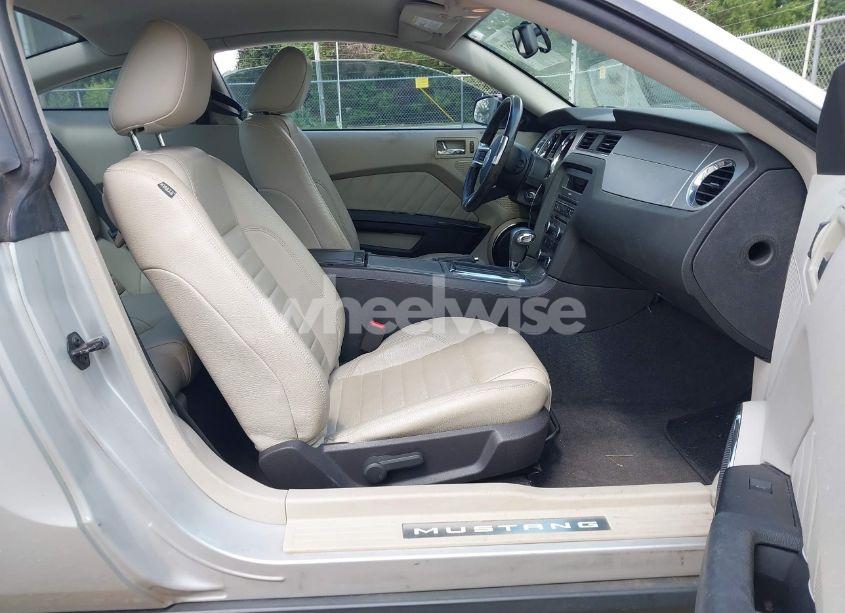 Photo 5 of 2010 Ford Mustang GT/GT PREMIUM (VIN 1ZVBP8CH7A5181037)