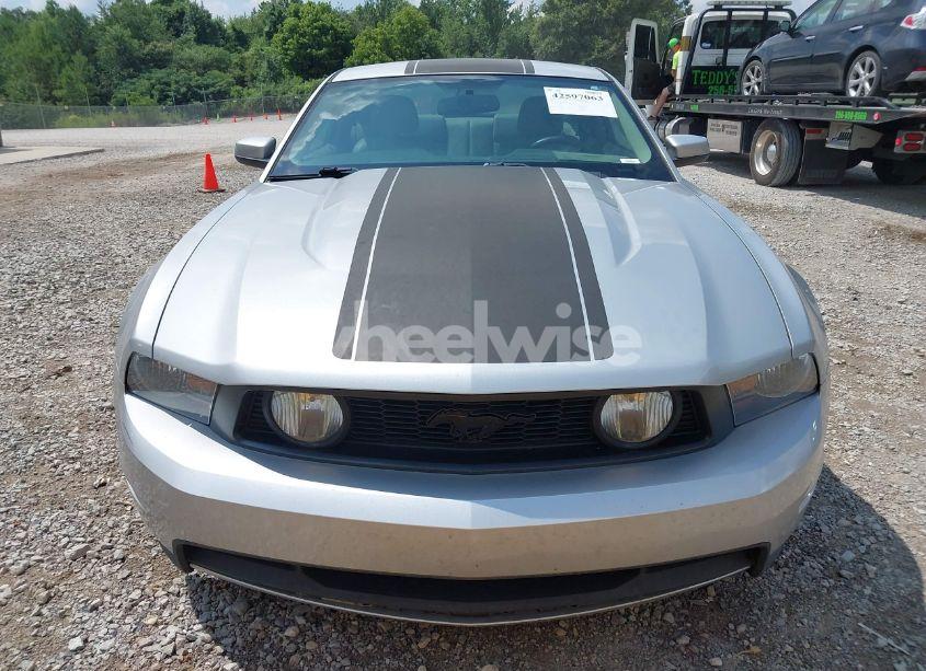 Photo 6 of 2010 Ford Mustang GT/GT PREMIUM (VIN 1ZVBP8CH7A5181037)