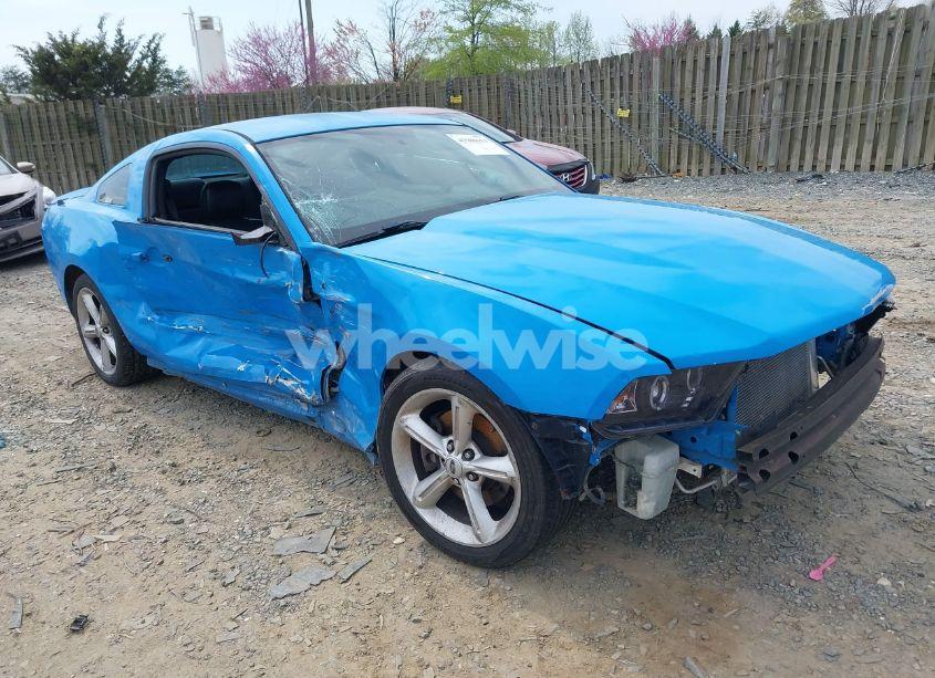 2010 Ford Mustang GT/GT PREMIUM (VIN 1ZVBP8CH8A5101616) main photo
