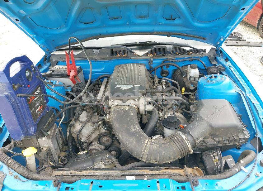 Photo 10 of 2010 Ford Mustang GT/GT PREMIUM (VIN 1ZVBP8CH8A5101616)