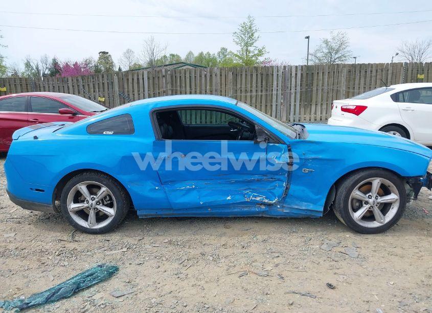 Photo 14 of 2010 Ford Mustang GT/GT PREMIUM (VIN 1ZVBP8CH8A5101616)