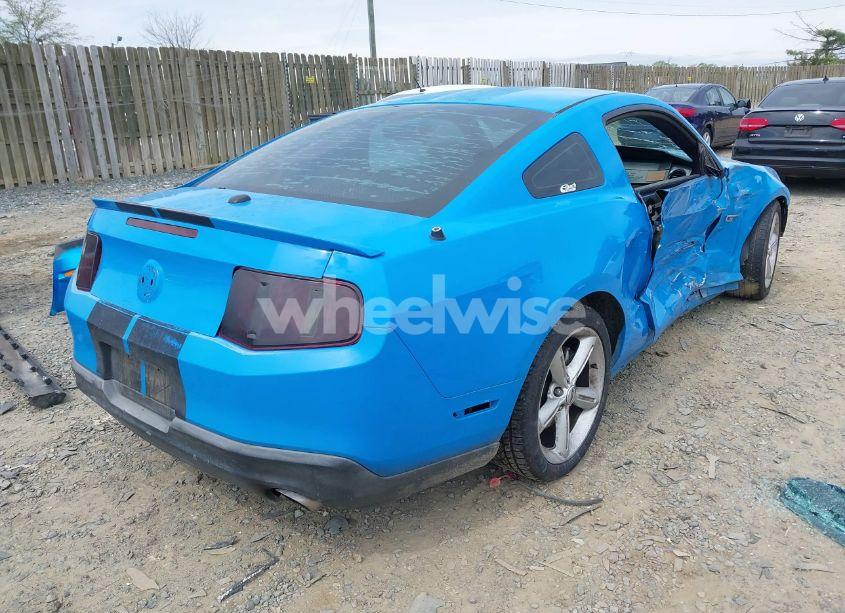 Photo 4 of 2010 Ford Mustang GT/GT PREMIUM (VIN 1ZVBP8CH8A5101616)